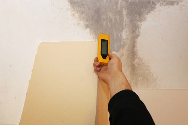 Best Residential Mold Inspection & Testing  in Fairfax, SC