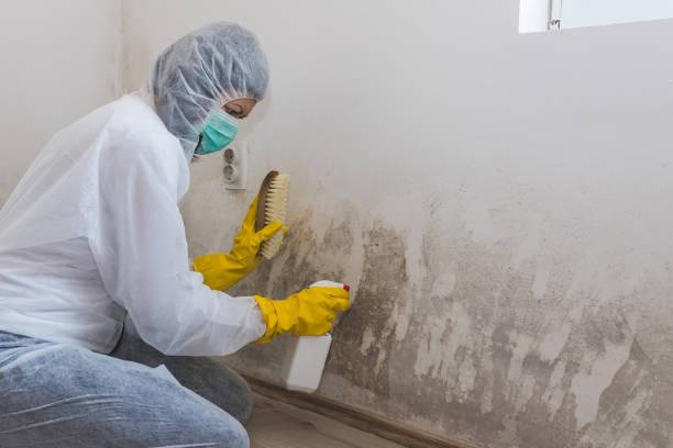 Best Air Quality Testing for Mold Spores  in Fairfax, SC