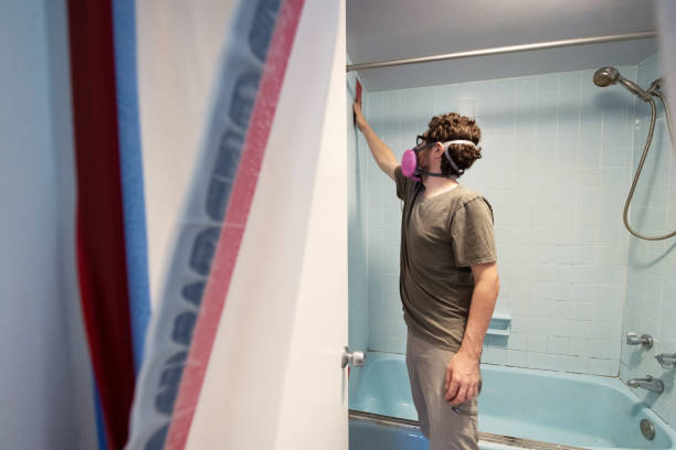 Best Black Mold Removal  in Fairfax, SC