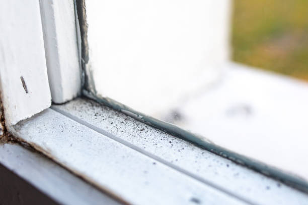 Best Mold Remediation for Healthcare Facilities  in Fairfax, SC