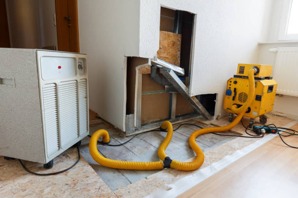 Best Airborne Mold Testing  in Fairfax, SC